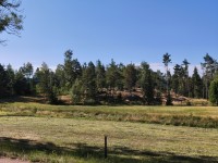 20260821_103458.jpg 20260821_103458.jpg