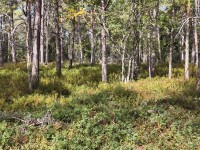 20260821_124046.jpg 20260821_124046.jpg
