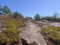 20260831_104730.jpg